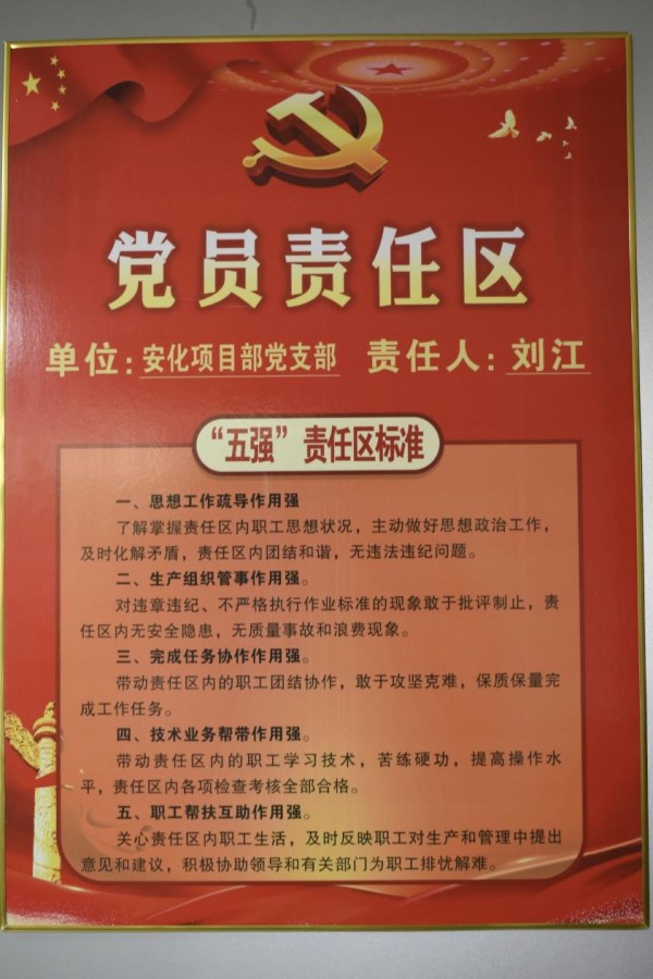 圖片 8
